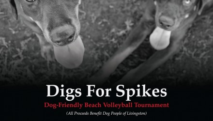 Digs for Spikes